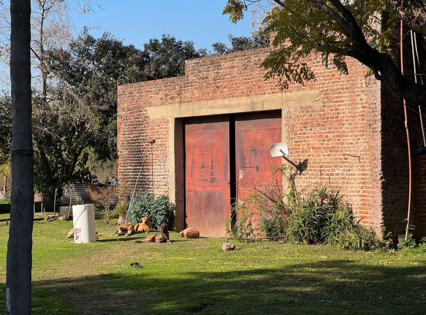 Foto de CAMPO EN VENTA 17 HECTAREAS PILAR RUTA 25, imagen 2