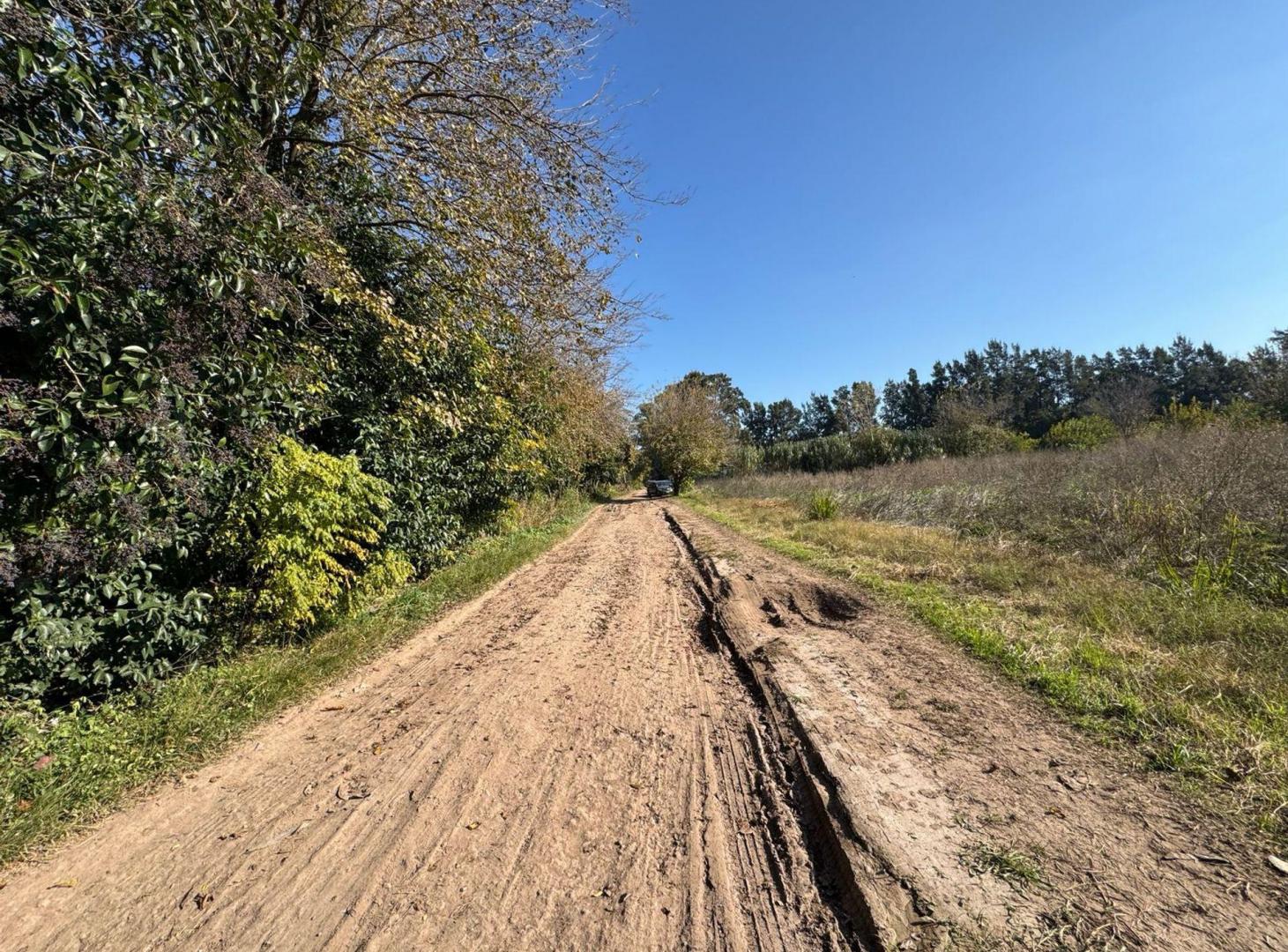 Foto de CAMPO EN VENTA 17 HECTAREAS PILAR RUTA 25, imagen 3