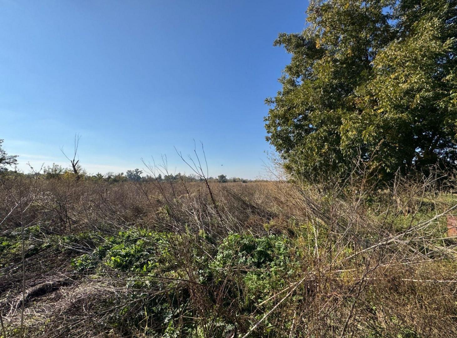 Foto de VENTA CAMPO 8,5 HECTAREAS, RUTA 25 PILAR, imagen 4