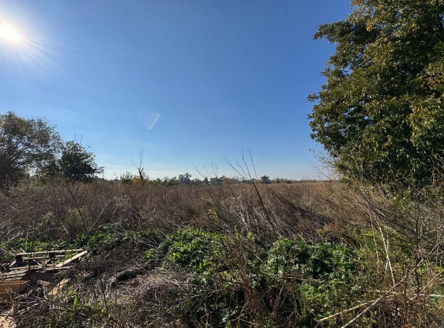 Foto de VENTA CAMPO 8,5 HECTAREAS, RUTA 25 PILAR, imagen 1