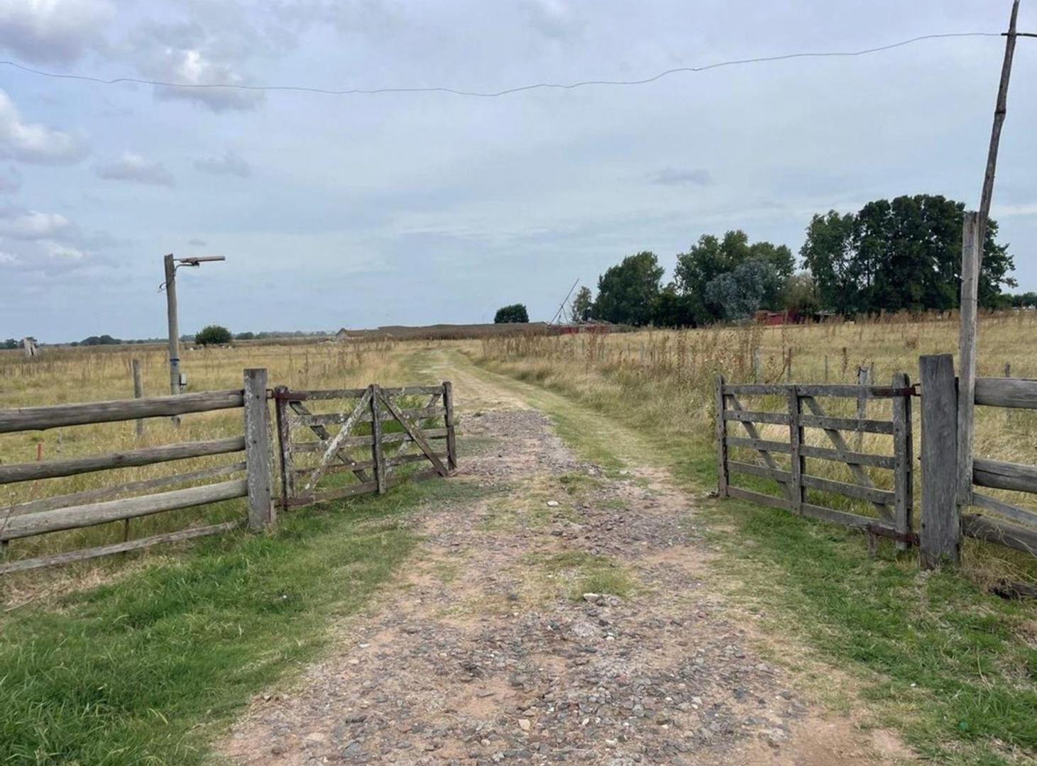Foto de VENTA CAMPO 37 HAS RUTA 24 Y 6 GENERAL RODRIGUEZ, imagen 1