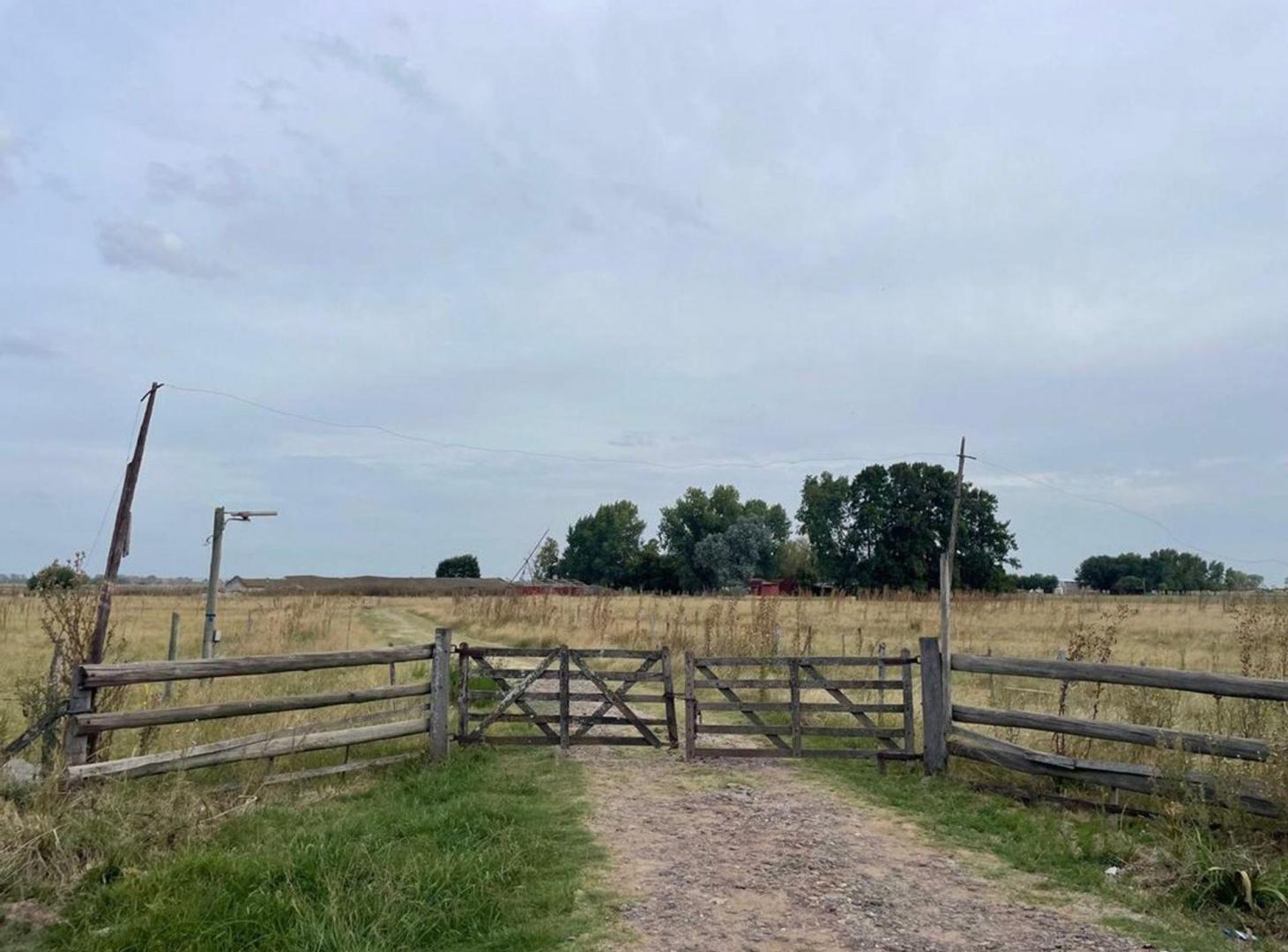 Foto de VENTA CAMPO 37 HAS RUTA 24 Y 6 GENERAL RODRIGUEZ, imagen 5