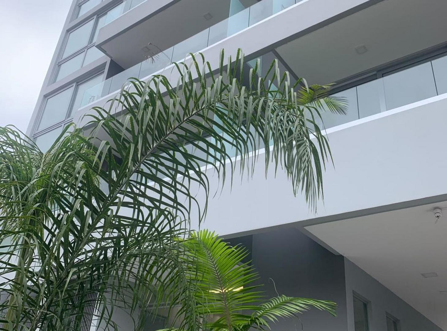 Foto de DEPARTAMENTO EN ALQUILER . OLIVOS. VIAS. RIO, imagen 2