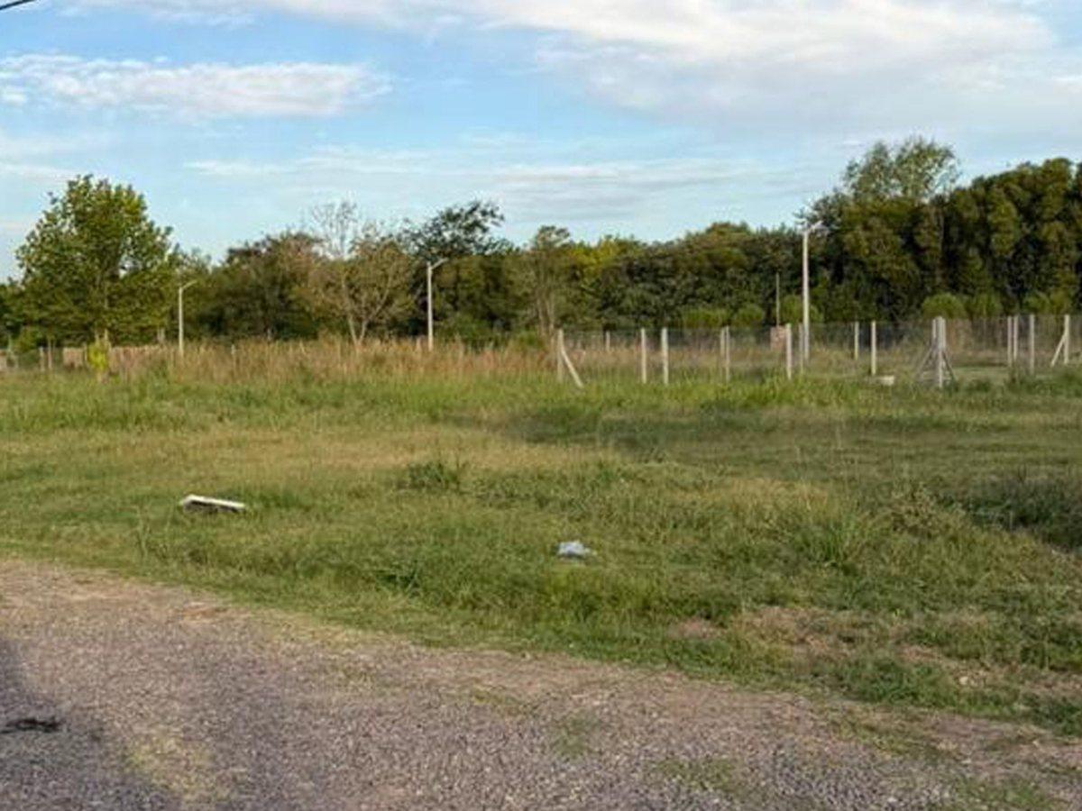 Foto de Venta Terreno Barrio Benteveo 304,88m2 Loma Verde, imagen 4