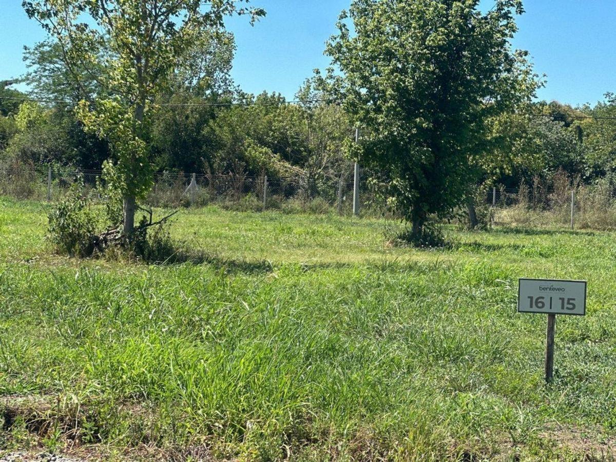 Foto de Venta Terreno Barrio Benteveo 304,88m2 Loma Verde, imagen 5