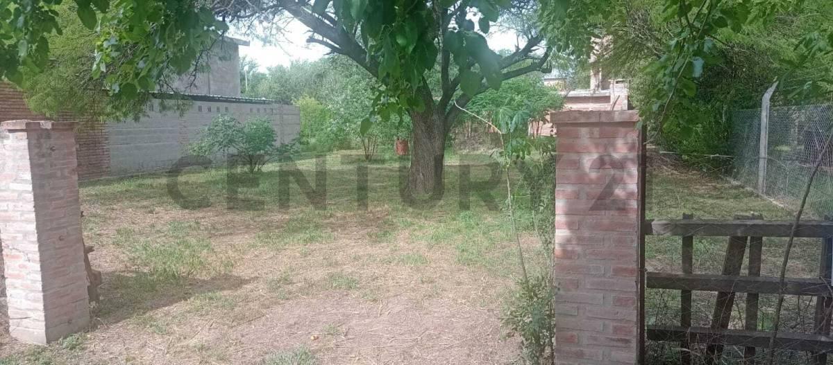 Foto de LOTE TERRENO, imagen 4