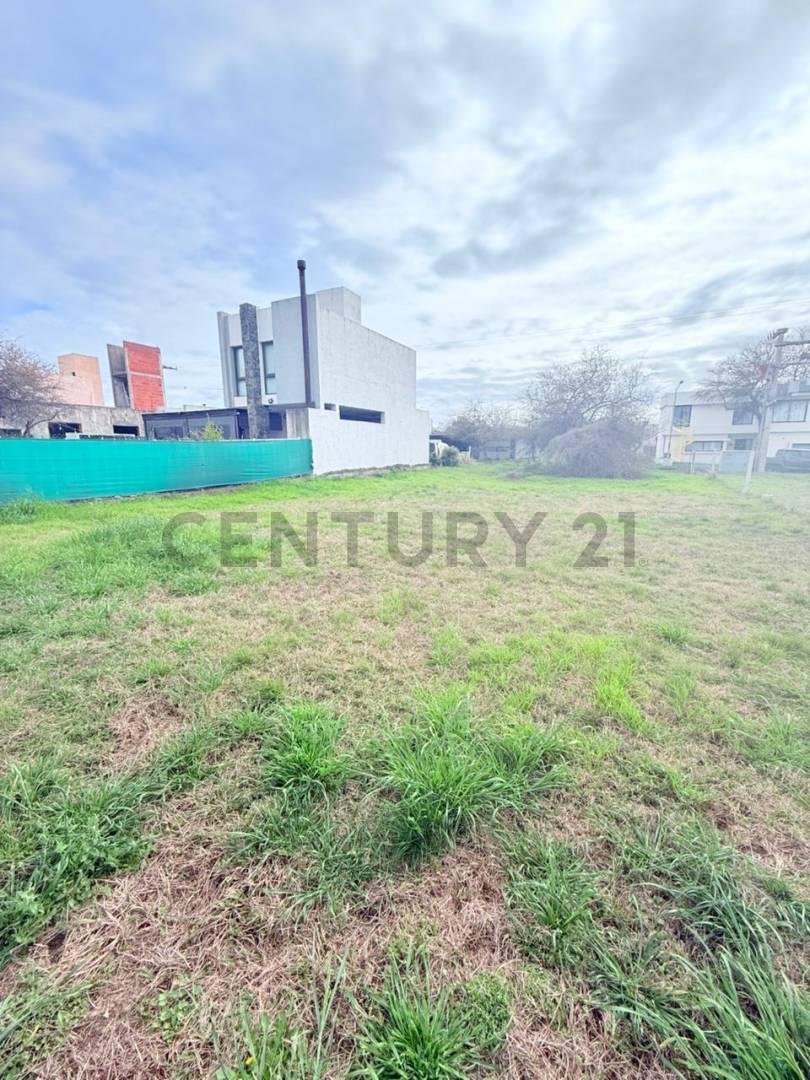 Foto de Venta de Lote en villa Catalina, imagen 3