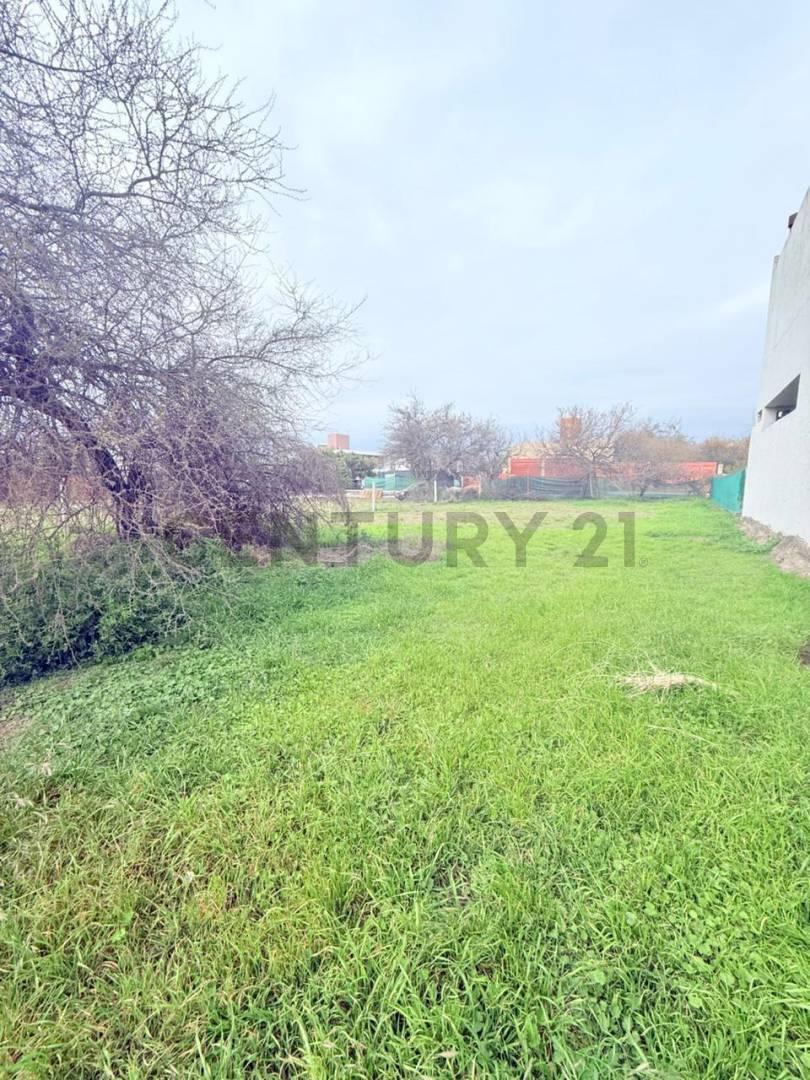 Foto de Venta de Lote en villa Catalina, imagen 4