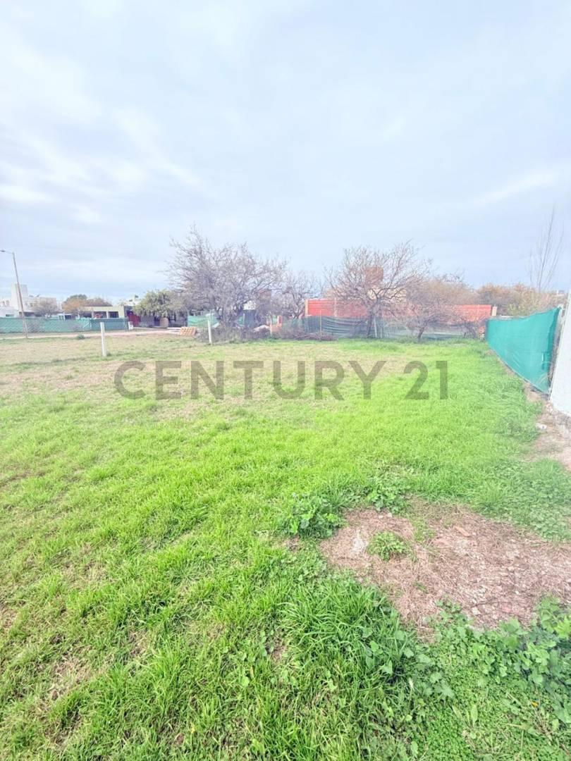 Foto de Venta de Lote en villa Catalina, imagen 2