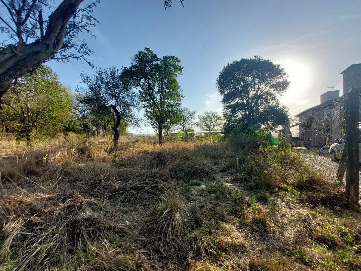 TERRENO SANTA ROSA DE CALAMUCHITA 5