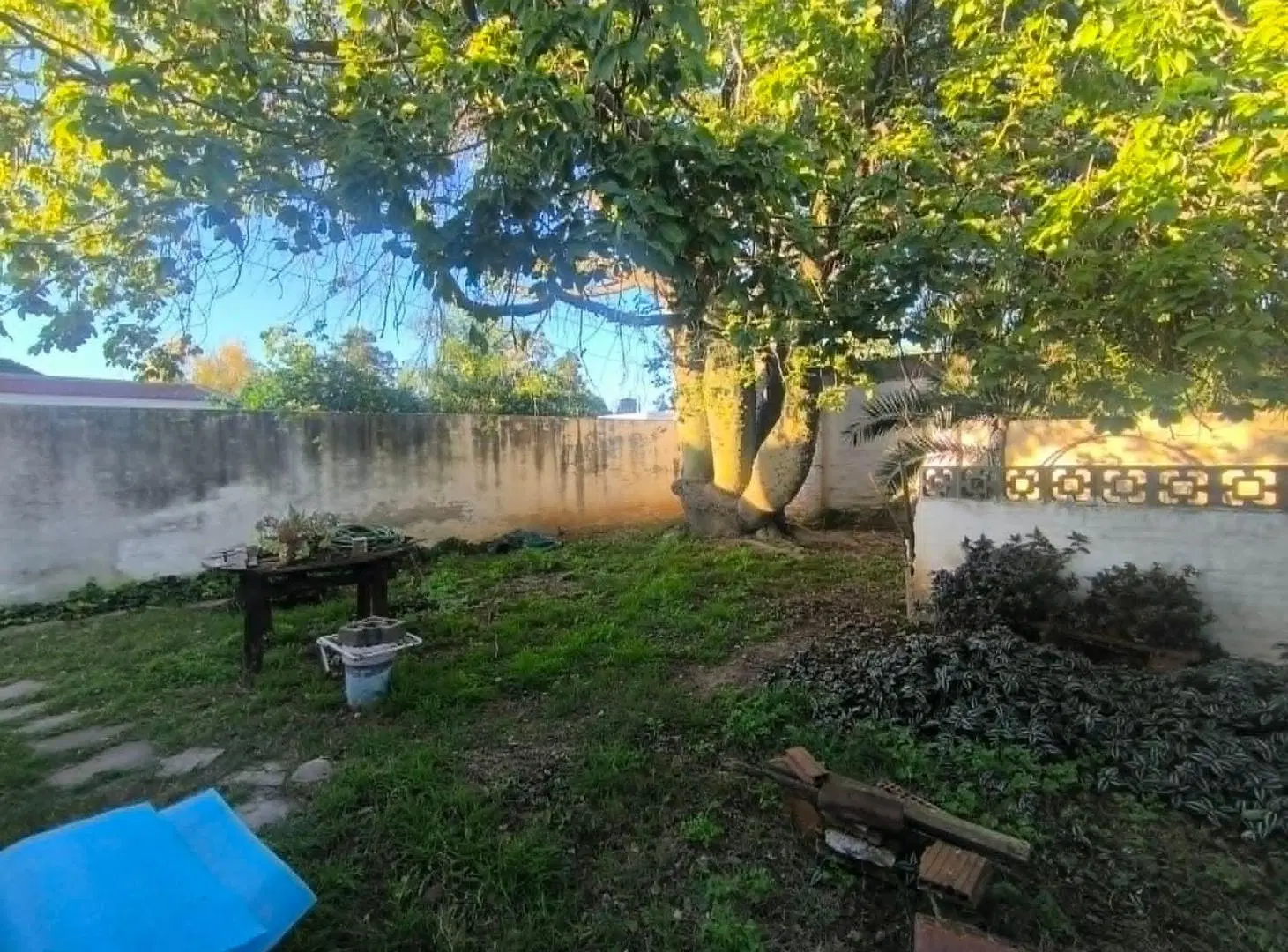 VENTA CASA 4 DORM ALTA CORDOBA 8