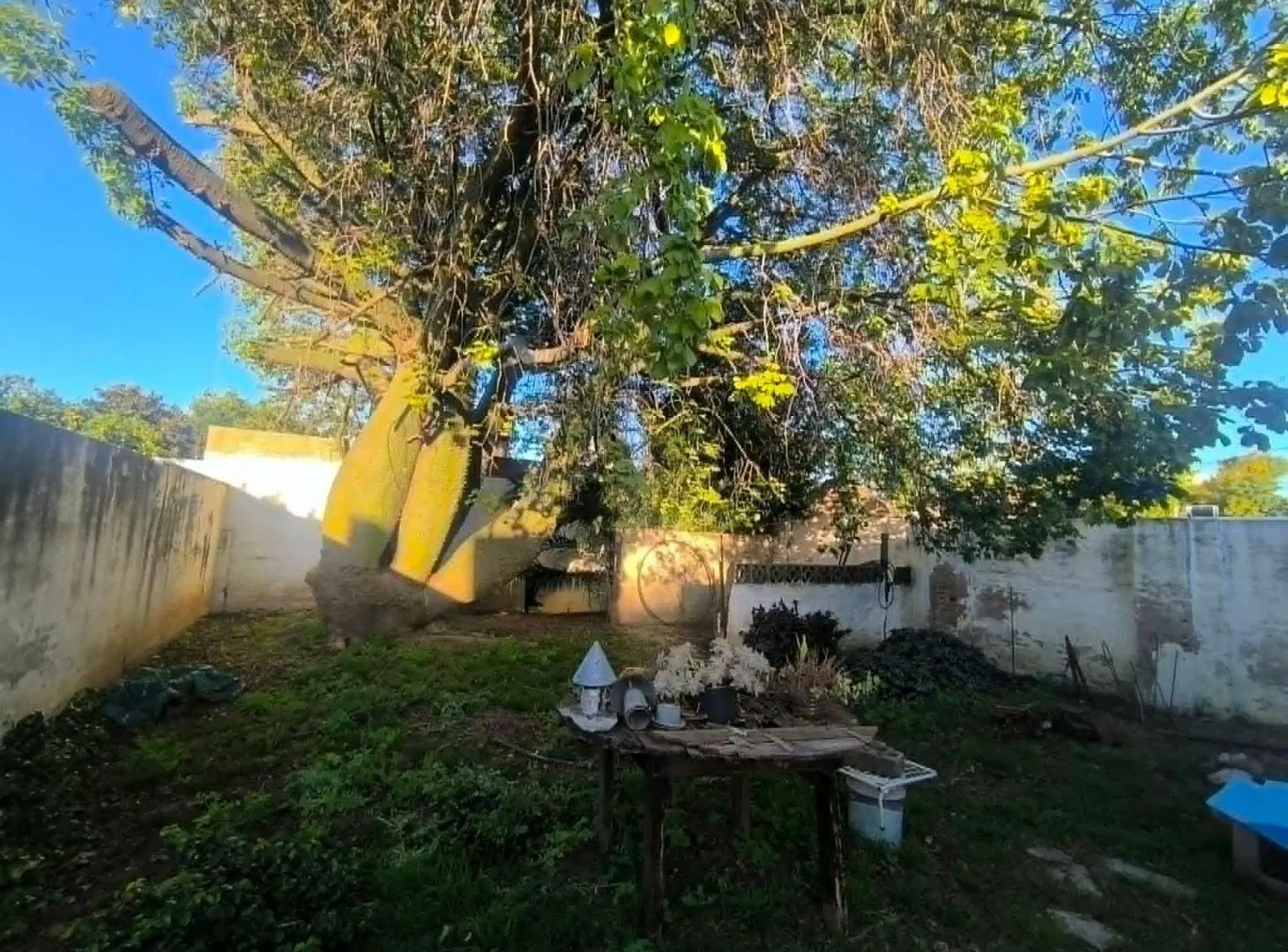 VENTA CASA 4 DORM ALTA CORDOBA 5