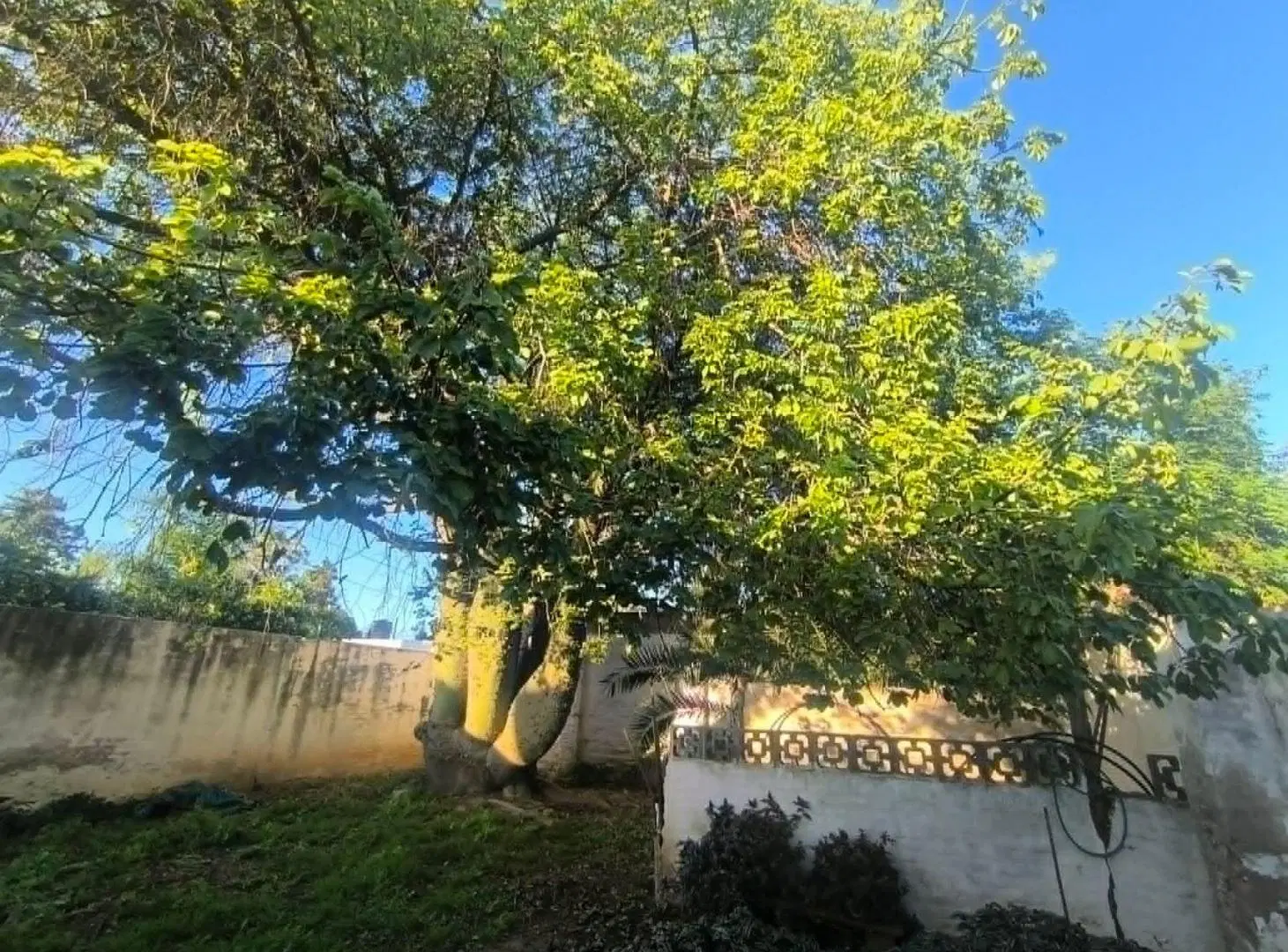 VENTA CASA 4 DORM ALTA CORDOBA 2
