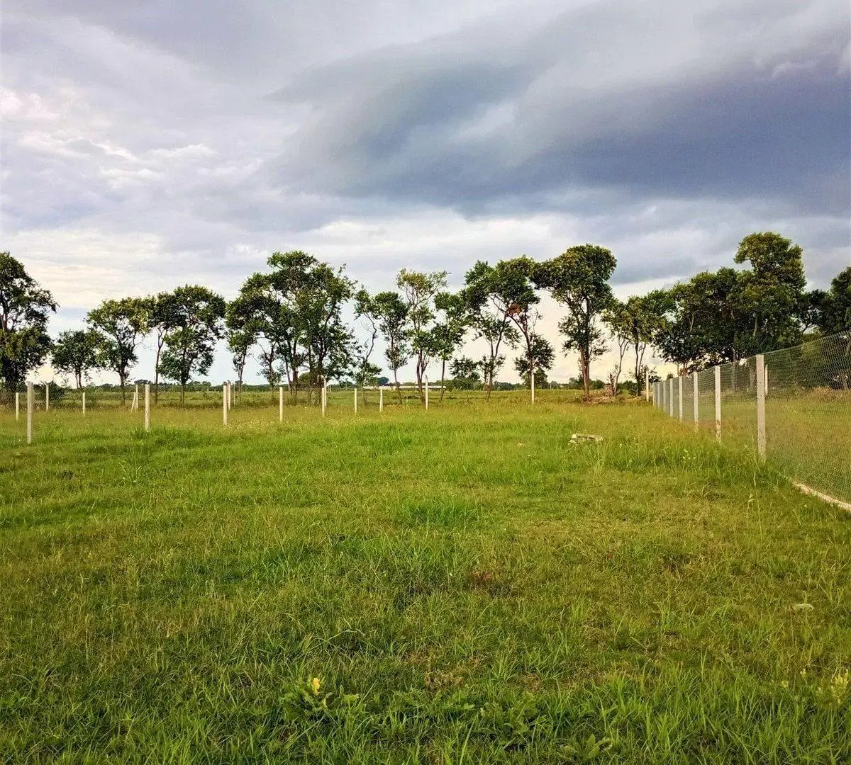 LOTE EN OPORTUNIDAD ZONA SUR TERRANOSTRA 2 2
