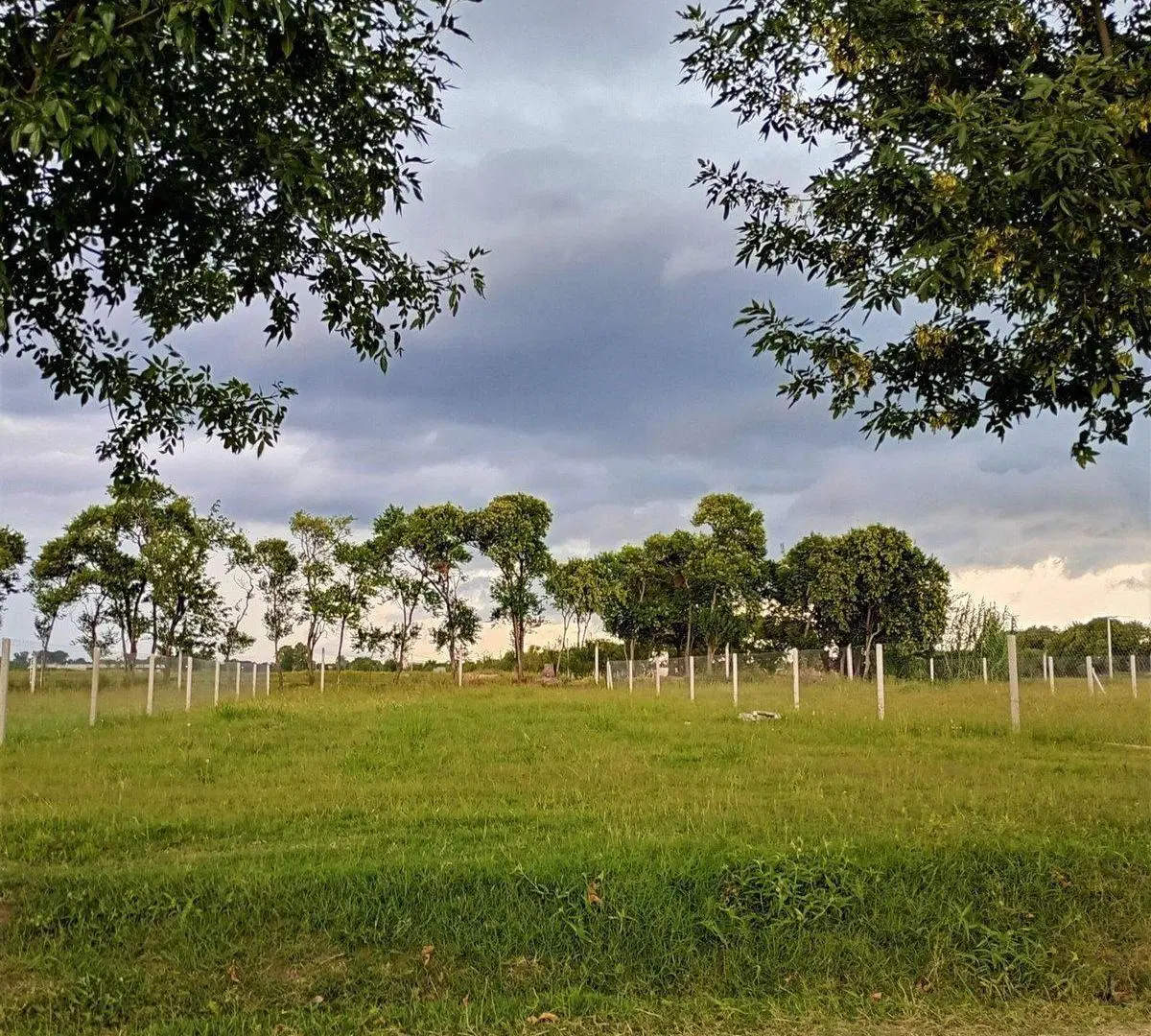 LOTE EN OPORTUNIDAD ZONA SUR TERRANOSTRA 2 3