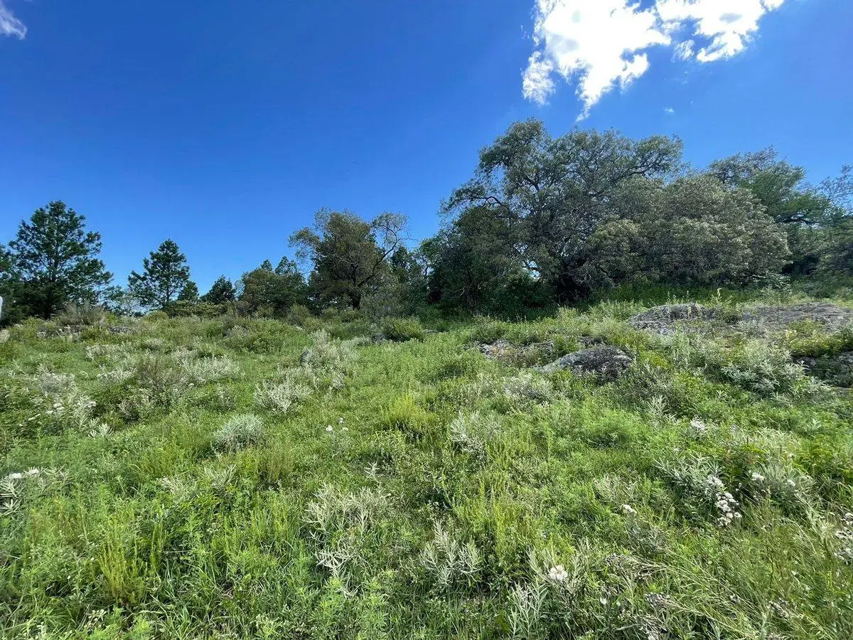 SE VENDE LOTE DE 4 HECTAREAS EN SAN CLEMENTE 4