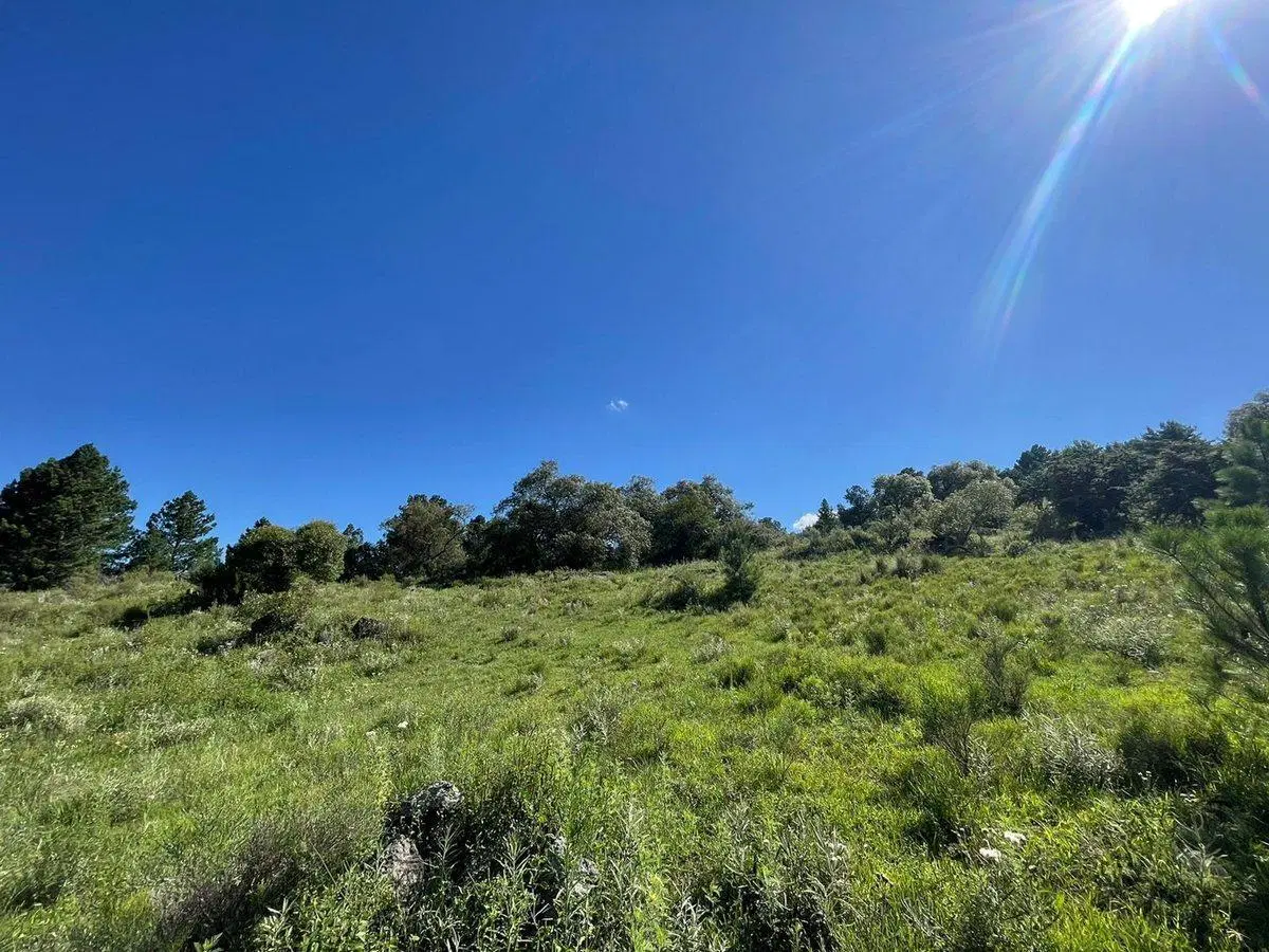 SE VENDE LOTE DE 4 HECTAREAS EN SAN CLEMENTE 3