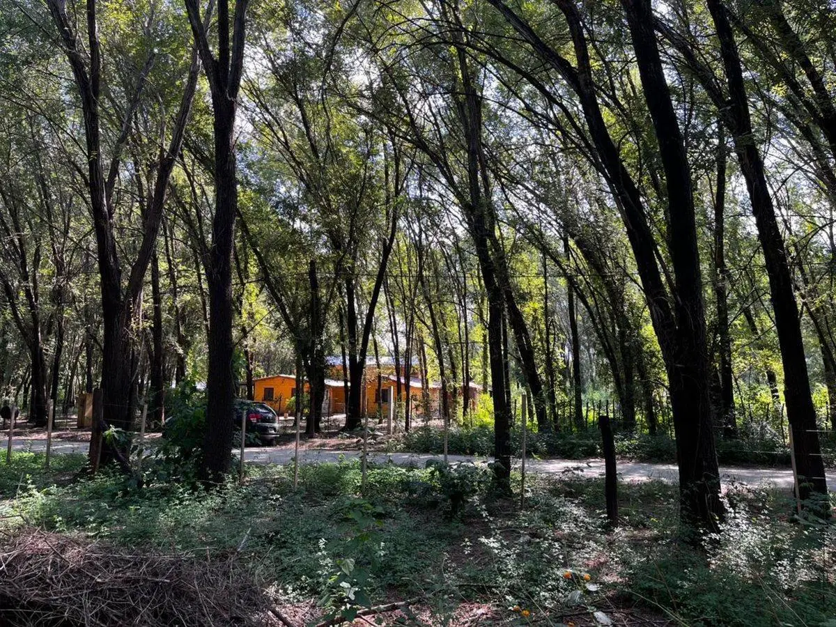 VENTA LOTES ANISACATE 1250 m2 B° PARQUE SAN MARTIN 5