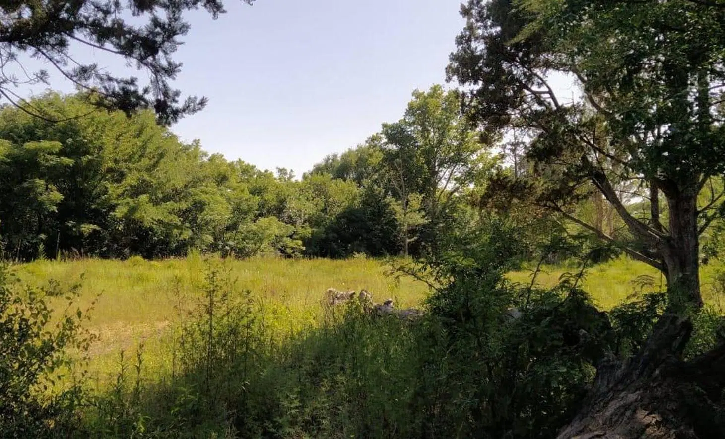 SE VENDE TERRENO 921 M2 CONTIGUO A RIO ANISACATE 3