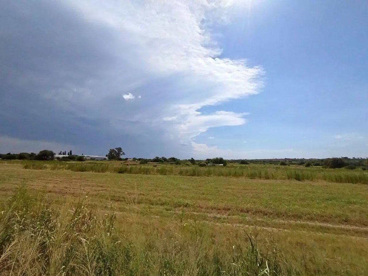 LOTE ZONA INDUSTRIAL L, 12 HECTAREAS CASA Y GALPÓN 3