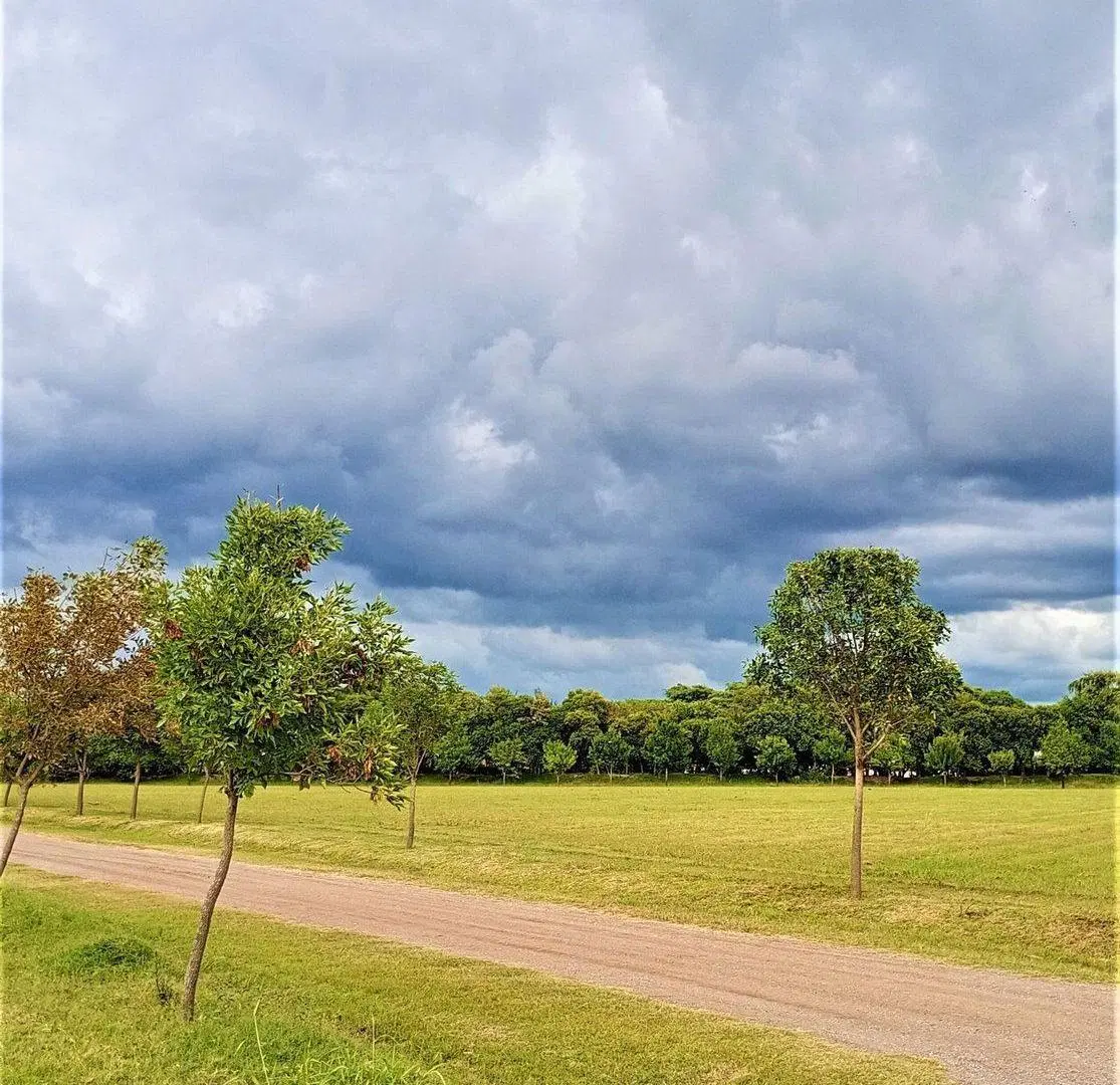 LOTE ESQUINA OPORTUNIDAD ZONA SUR TERRANOSTRA 2 5