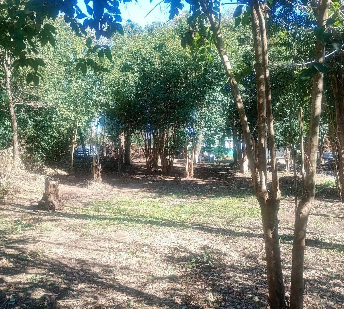 VENTA LOTE 490M2 VILLA C. PARQUE - LOS REARTES 5