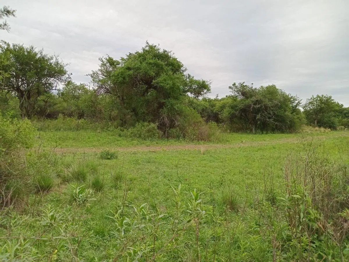 LOTEO VENTA  EN LA GRANJA 4