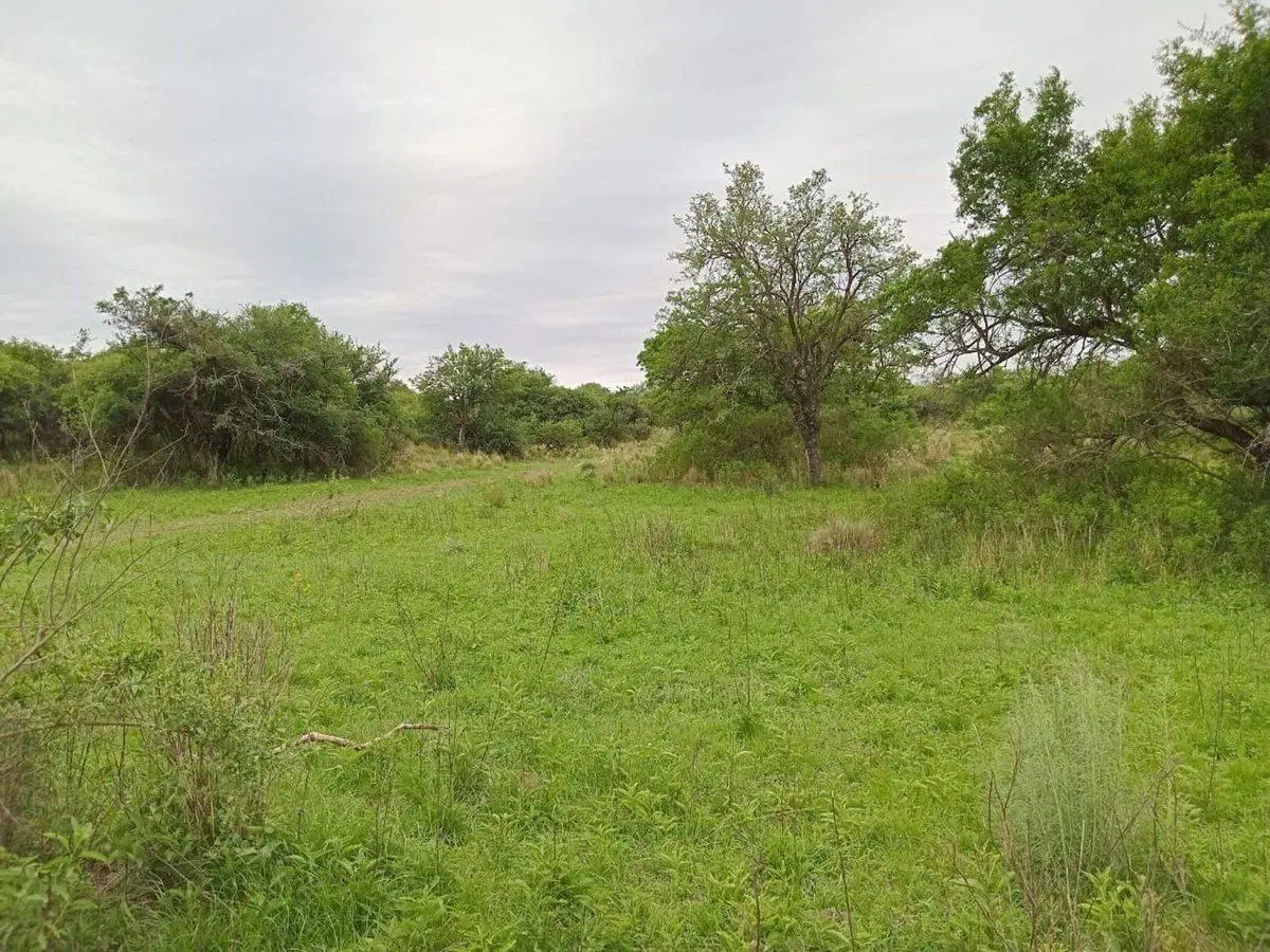LOTEO VENTA  EN LA GRANJA 5