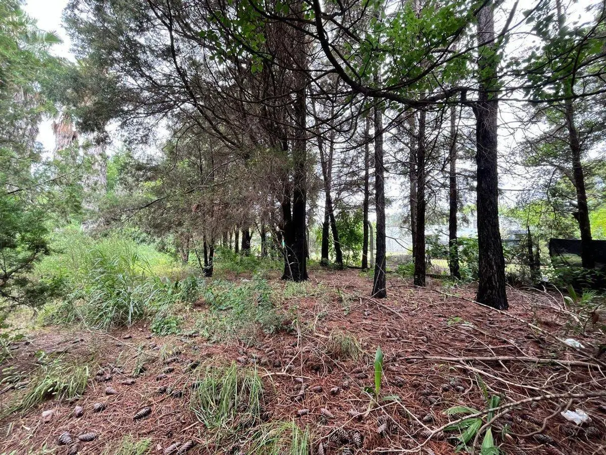 SE VENDE TERRENO EN QUINTAS DE FLORES 2