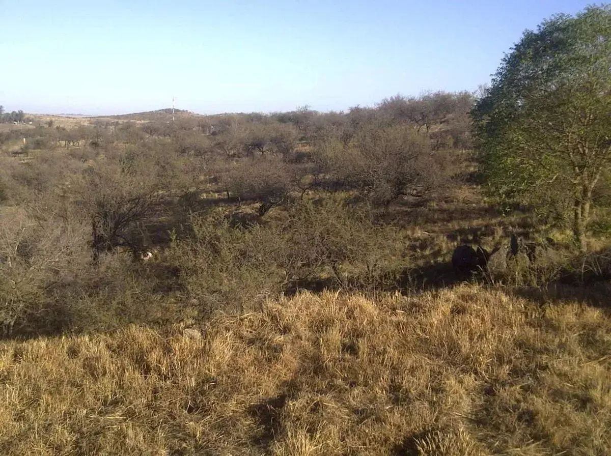 VENTA LOTE TIERRA ALTA 601M2 3