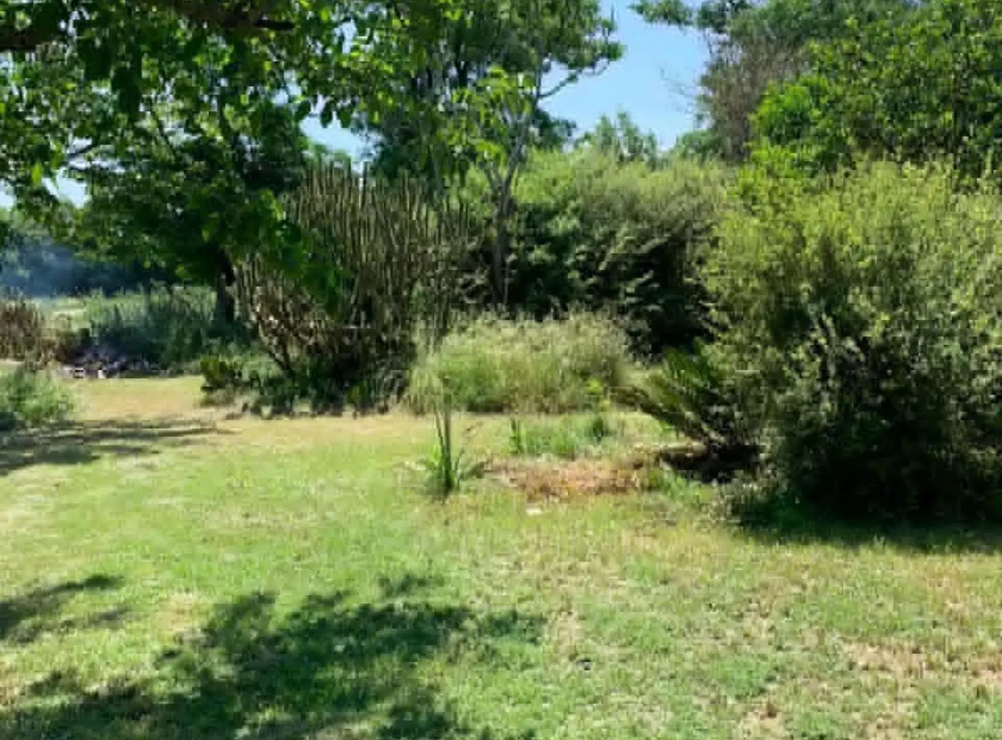 VENTA CASA QUINTA EN DOS HECTAREAS Y MEDIA 2