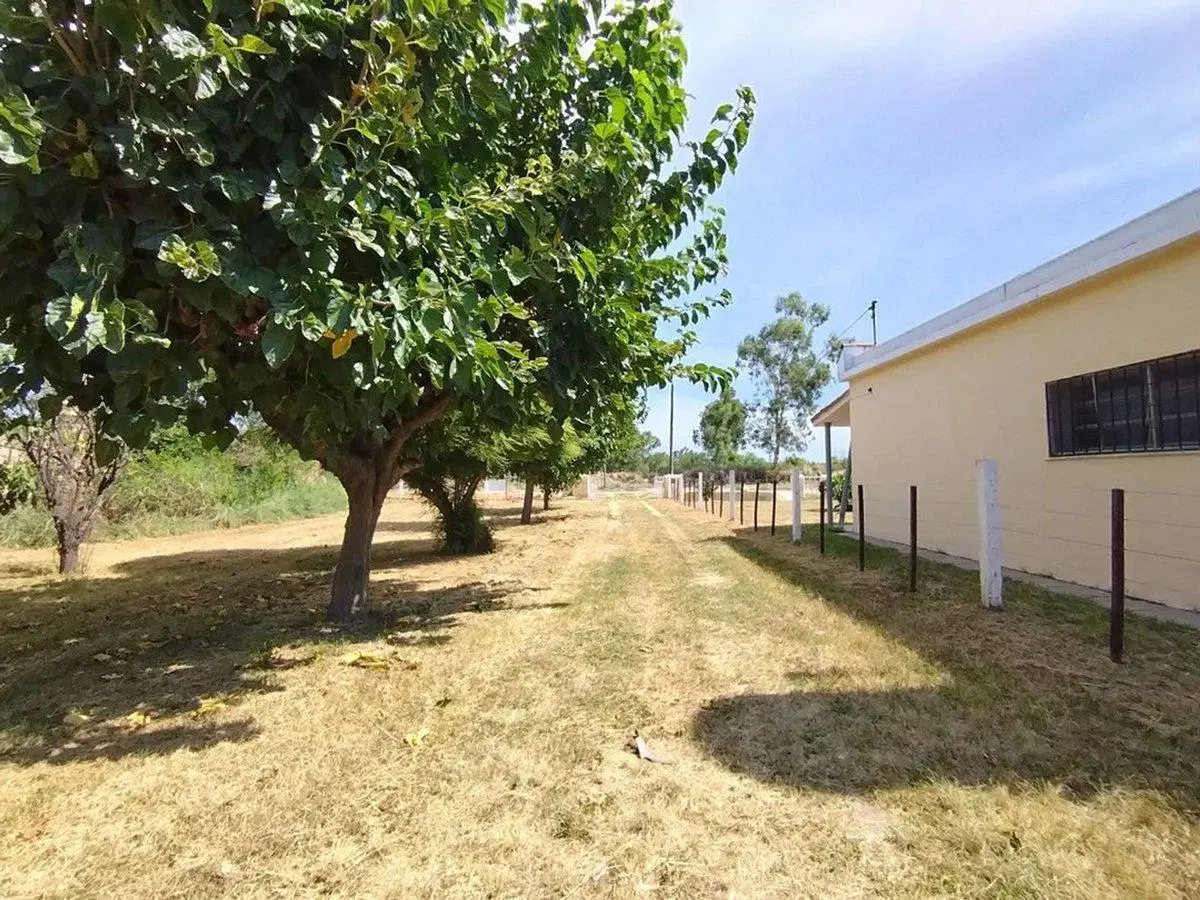 LOTE ZONA INDUSTRIAL L, 12 HECTAREAS CASA Y GALPÓN 3