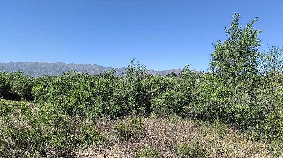 VENTA LOTE PARQUE PSIQUIMAN 1017 M2 6