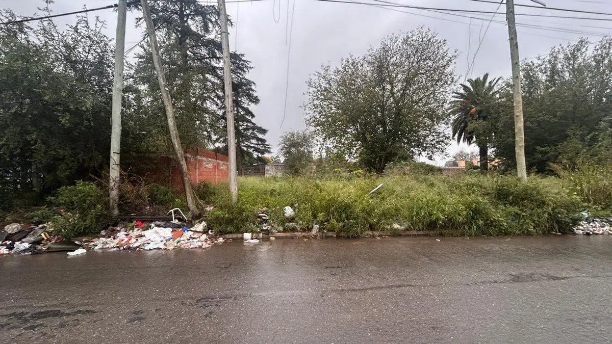 VENTA LOTE PARA DESARROLLO EN ZONA NORTE 8