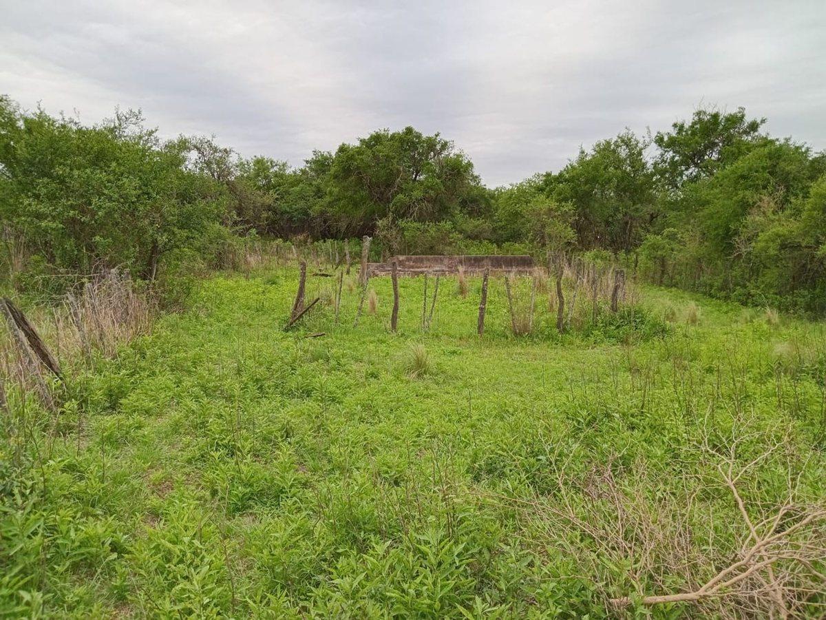 Foto de LOTEO VENTA EN LA GRANJA, imagen 3