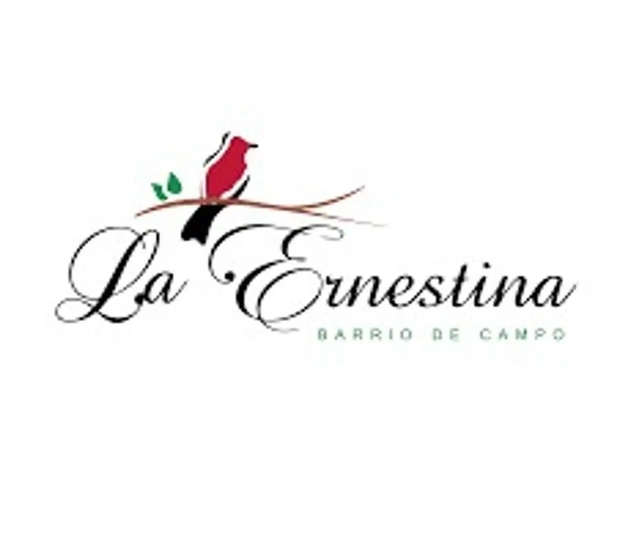 VENTA EN LA ERNESTINA LOTE 4