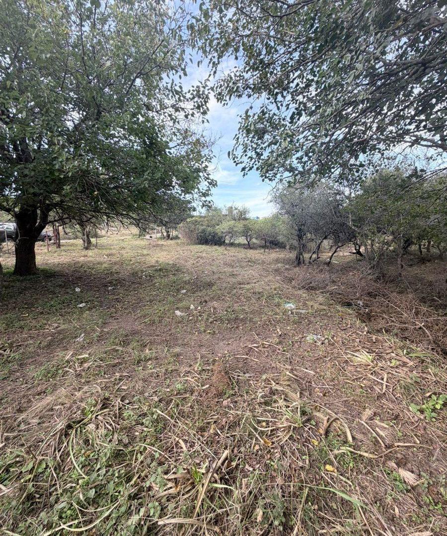 Foto de VENDO LOTE ESQUINA 1000 MTRS - VILLA P. SIQUIMAN, imagen 4