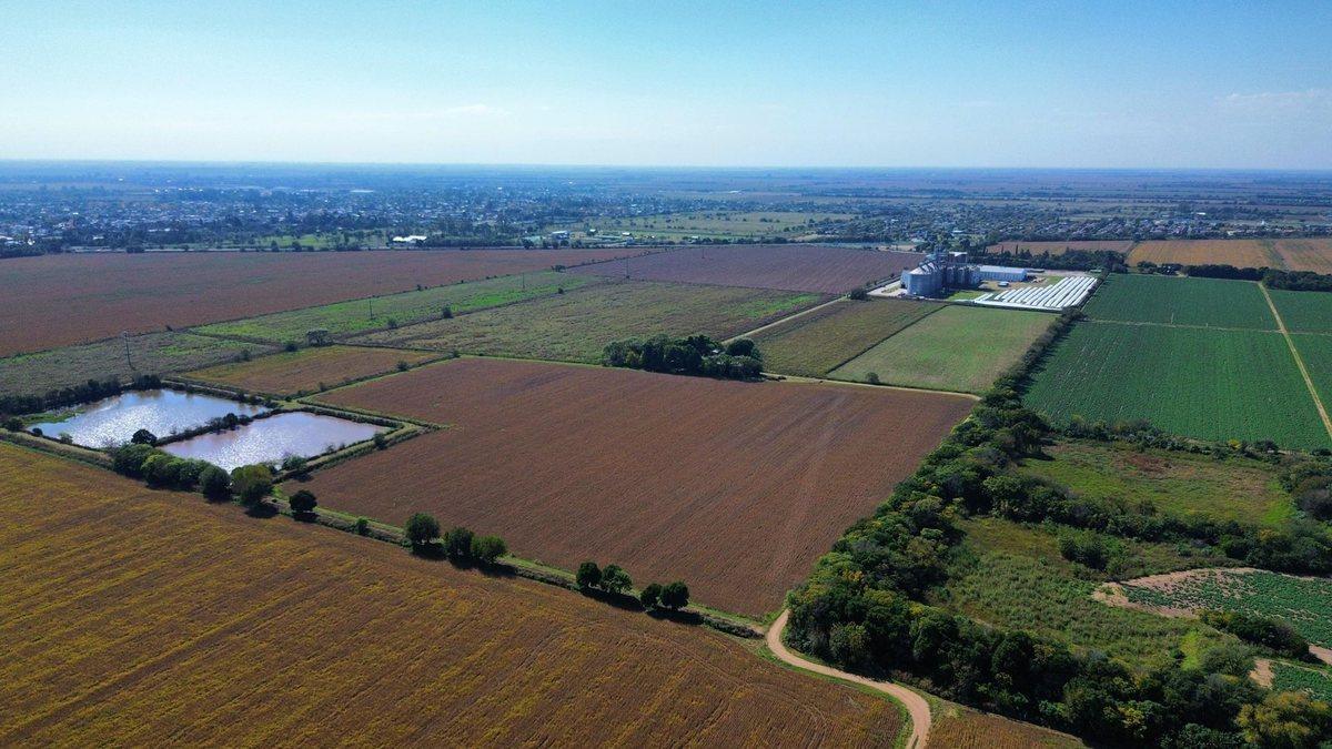 Foto de VENTA 40 HECTAREAS FACTIBILIDAD INDUSTRIAL RUTA 9, imagen 2