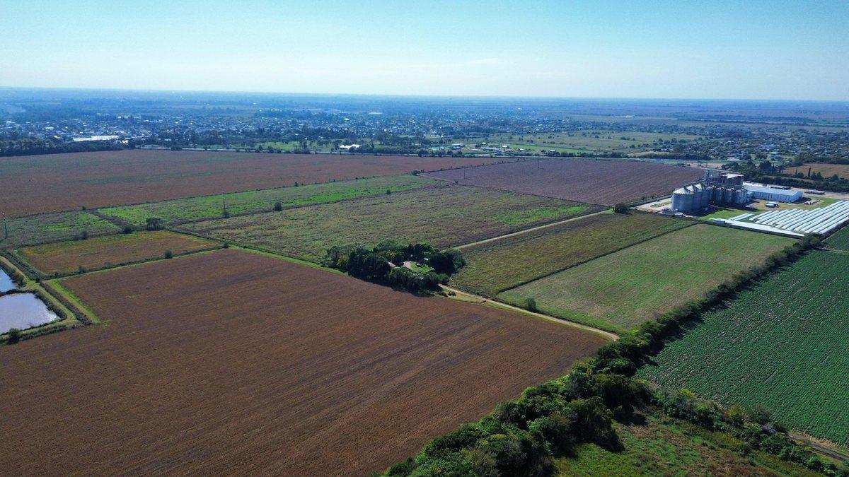 Foto de VENTA 40 HECTAREAS FACTIBILIDAD INDUSTRIAL RUTA 9, imagen 3