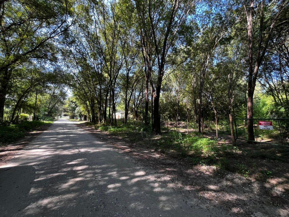 Foto de VENTA LOTES ANISACATE 1250 m2 B° PARQUE SAN MARTIN, imagen 1