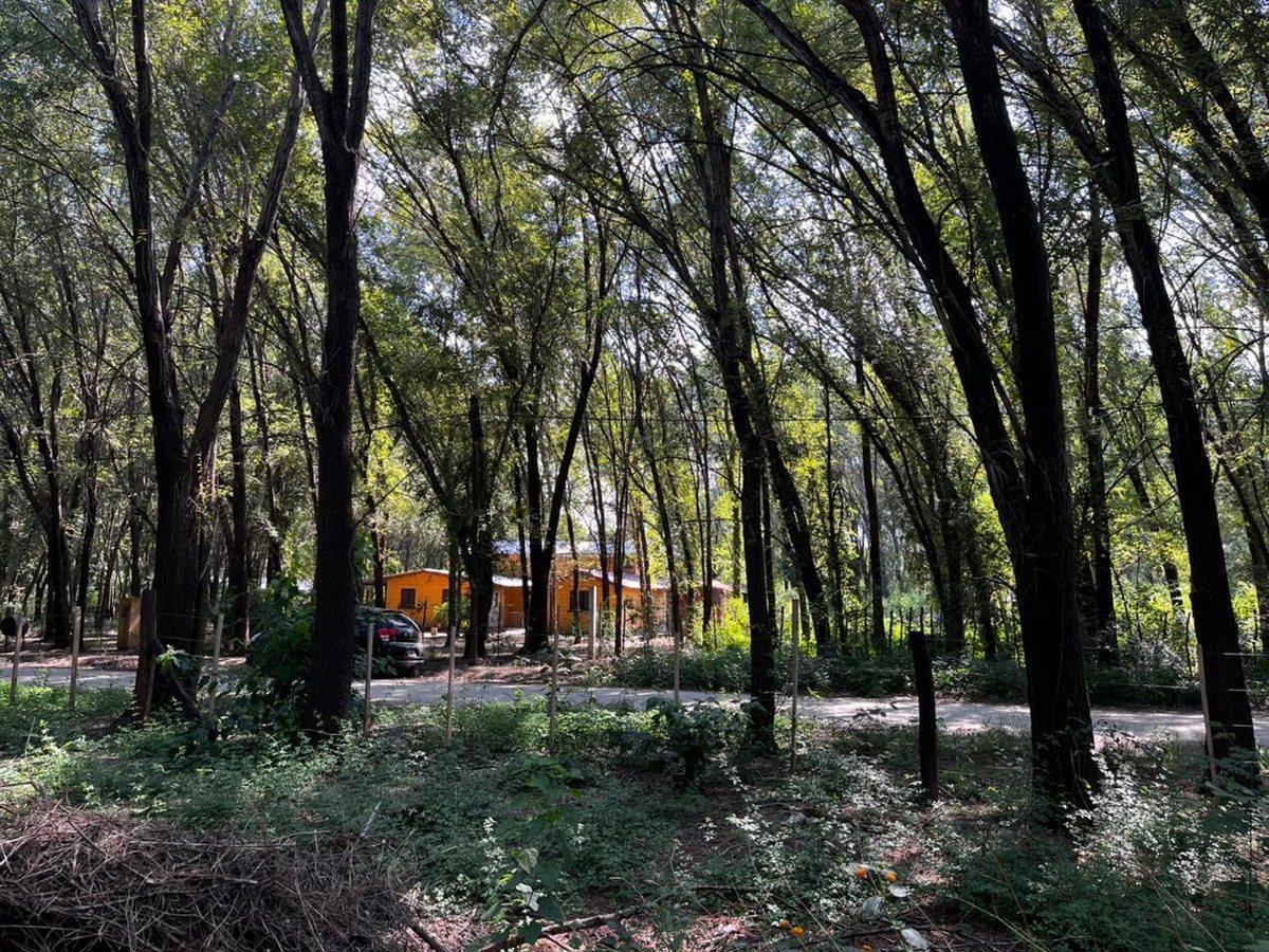 Foto de VENTA LOTES ANISACATE 1250 m2 B° PARQUE SAN MARTIN, imagen 2