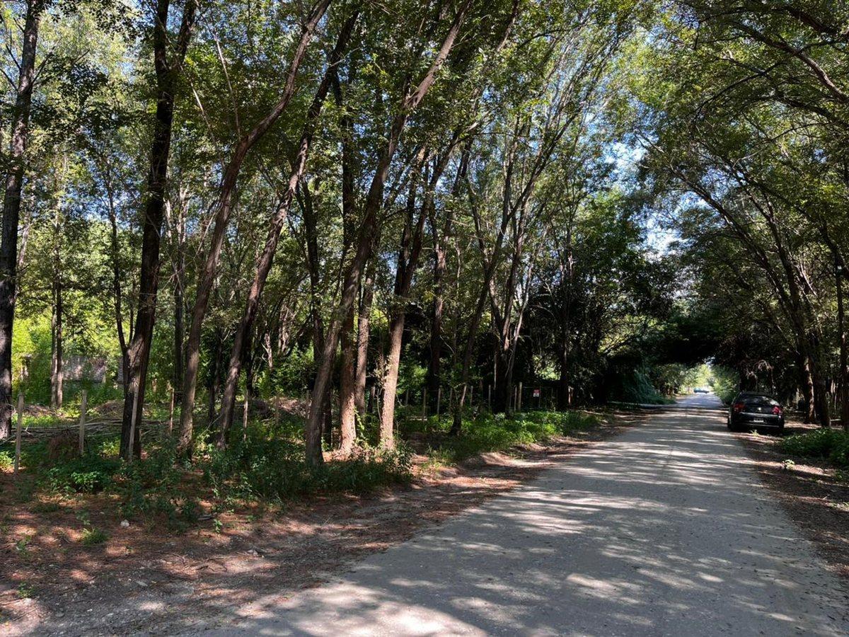 Foto de VENTA LOTES ANISACATE 1250 m2 B° PARQUE SAN MARTIN, imagen 5