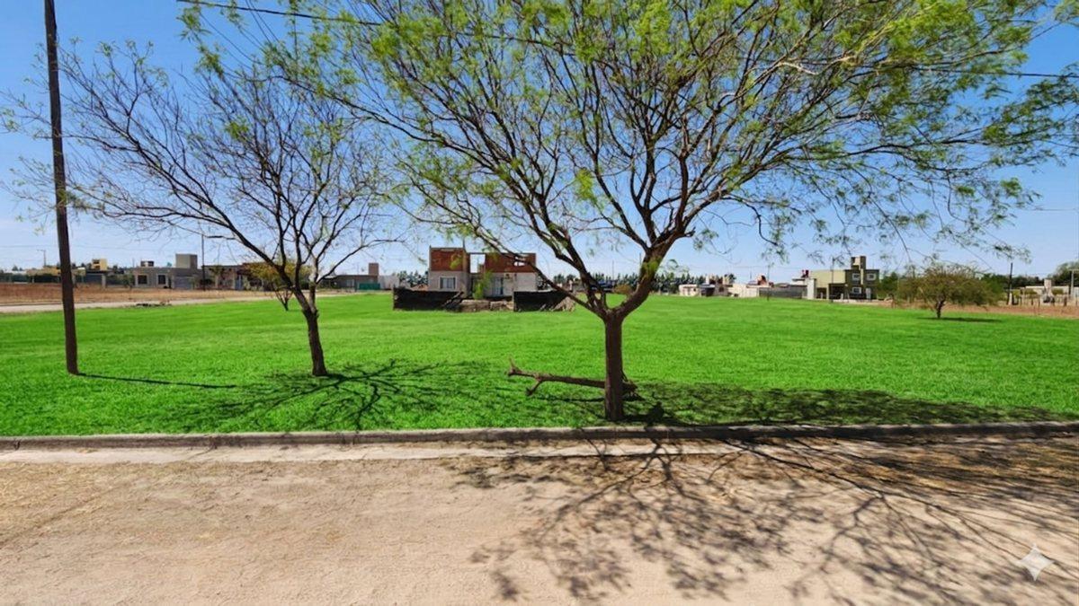 Foto de VENDE LOTE EN ALTOS DE LA COLONIA, imagen 3