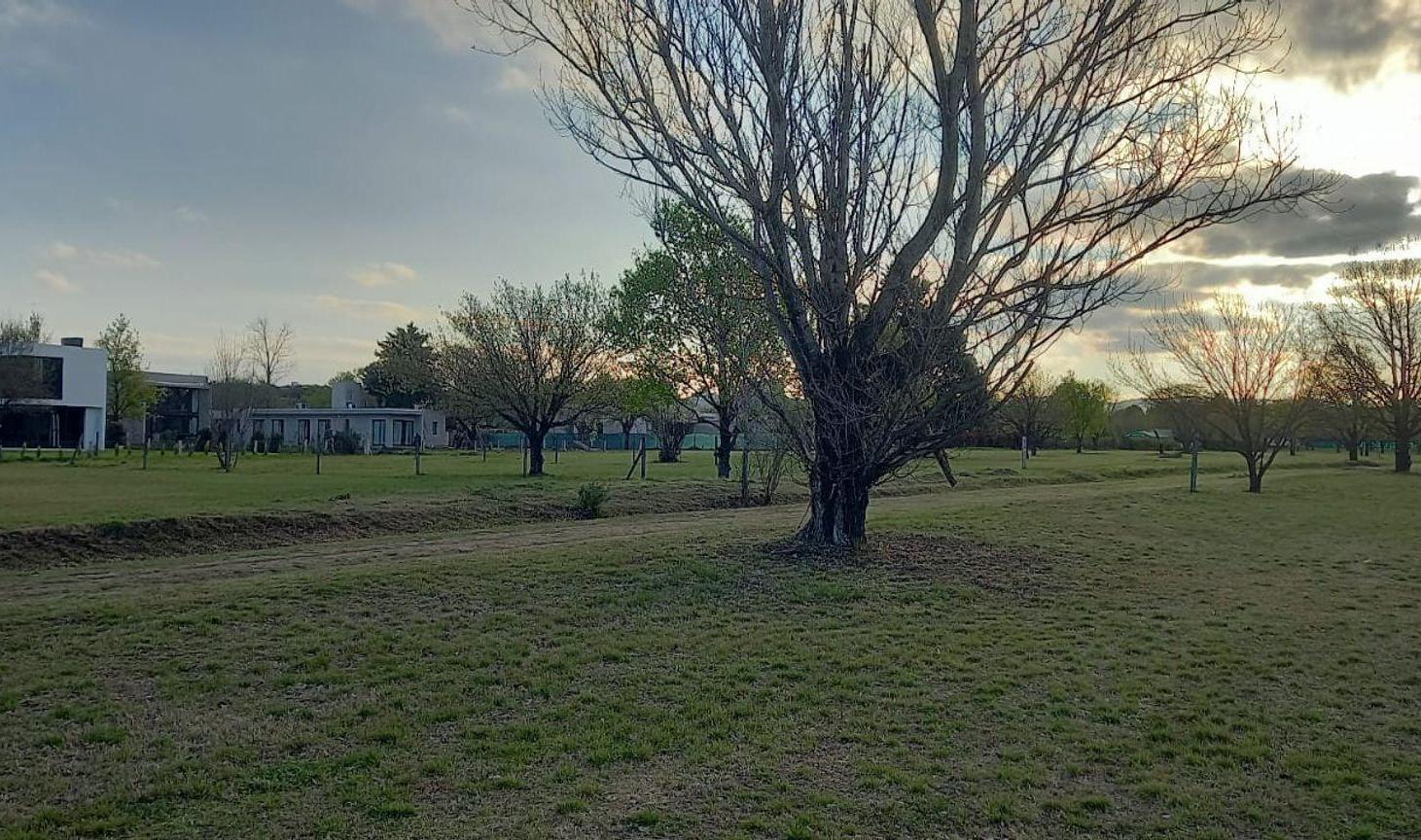 Foto de VENTA LOTE VALLE DEL GOLF 847 M2 ETAPA 3, imagen 2