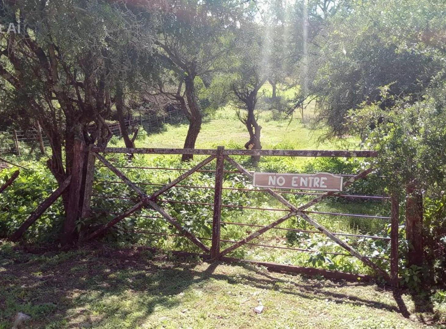 Foto de VENTA LOTE SALSIPUEDES, imagen 3