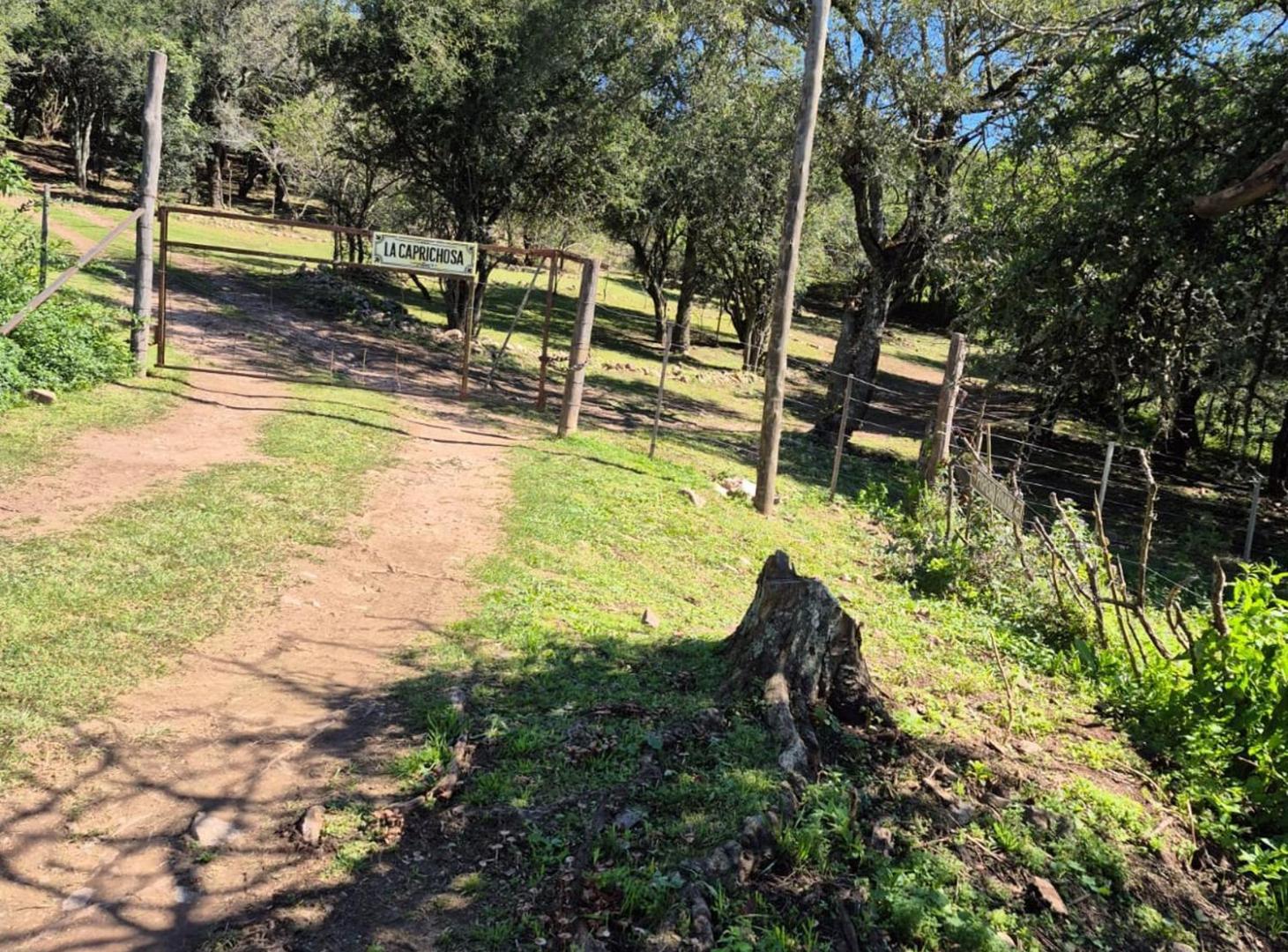 Foto de VENTA LOTE SALSIPUEDES, imagen 4