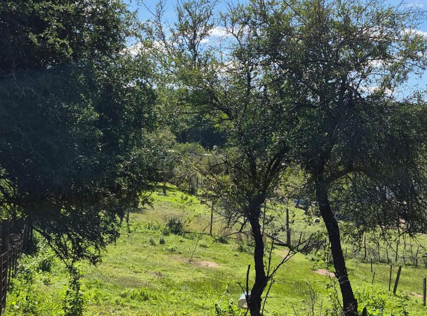 Foto de VENTA LOTE SALSIPUEDES, imagen 2