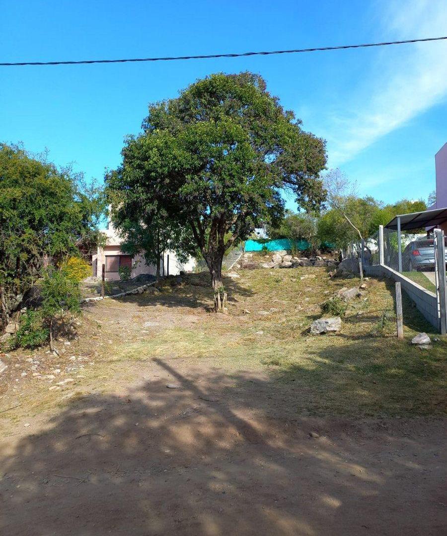 Foto de LOTE AGUA DE ORO VENTA, imagen 1