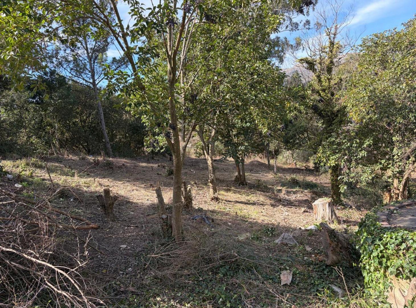 Foto de LOTE EN VENTA VILLA GIARDINO 717 M2 VISTA SIERRAS, imagen 2
