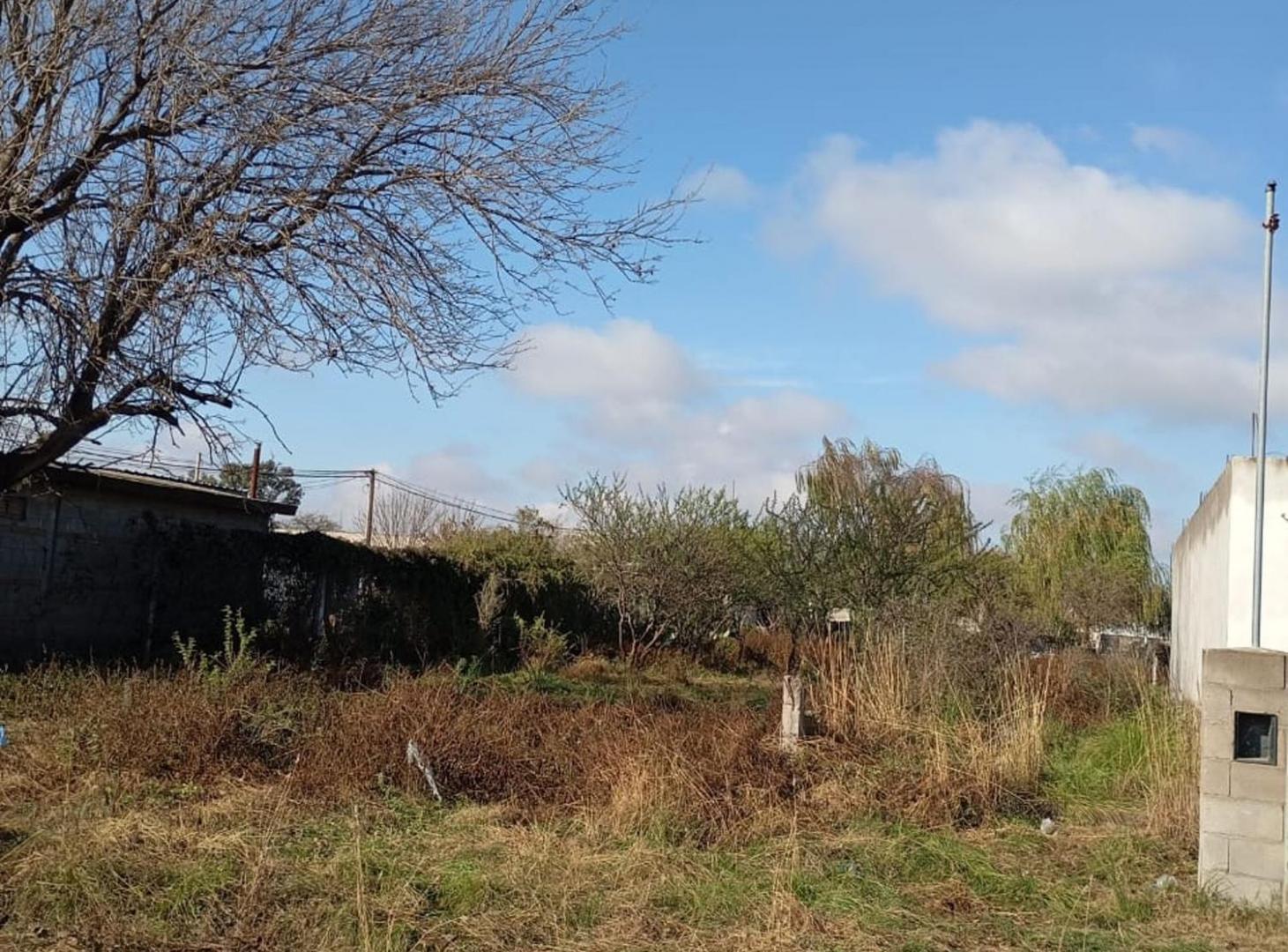 Foto de VENTA TERRENO DESPEÑADEROS 560M2, imagen 2